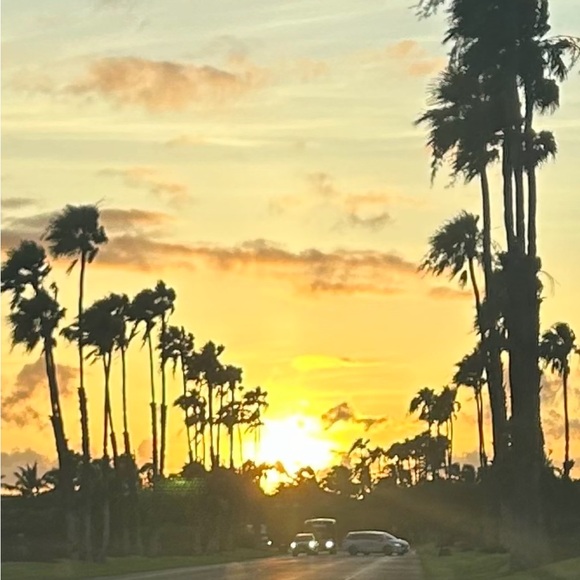 VISIT HAWAII!! 🌴🌴🌴☀️☀️☀️The big Island is amazing!!! - Picture 5 of 16